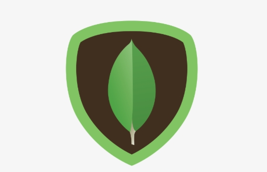 mongodb